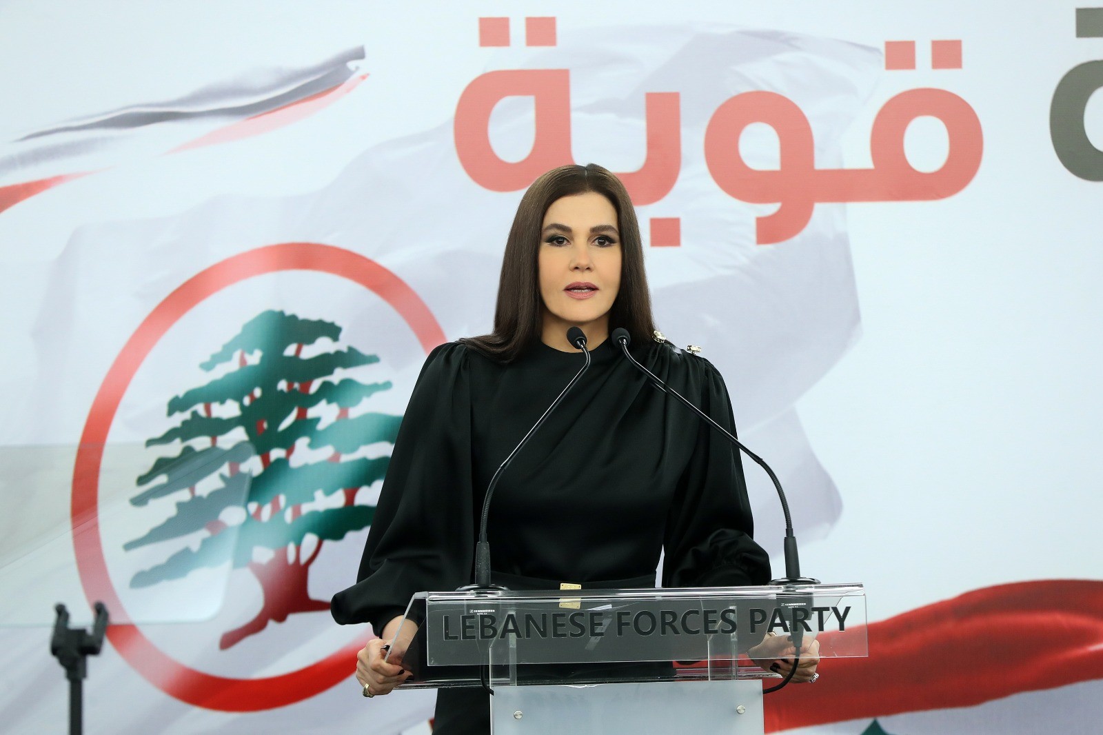 إعلان لوائح حزب “القوّات اللبنانيّة” للإنتخابات البلديّة 2025 في قضاء بشري إعلان لوائح حزب “القوّات اللبنانيّة” للإنتخابات البلديّة 2025 في قضاء بشري