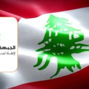 الجبهة الوطنية لإنقاذ الدولة