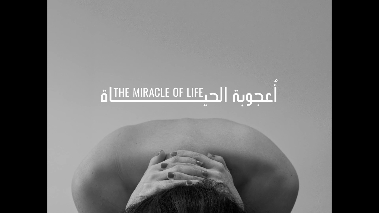 فيلم أعجوبة الحياة: في صمت الحمل فيلم أعجوبة الحياة: في صمت الحمل